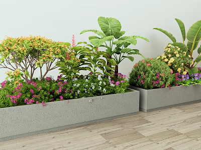 Colorful Flower Plants in Rectangular Planter Boxes with Various Green Foliage 3d model