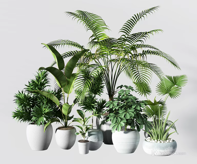 Assorted Green Bonsai Potted Plants With Ferns Palm Leaves And White Ceramic Pots 3d model 