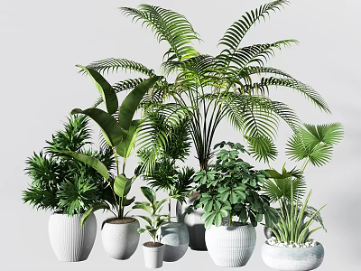 Assorted Green Bonsai Potted Plants With Ferns Palm Leaves And White Ceramic Pots 3d model