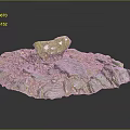 Wood And Stone Artistic Display With Natural Textures Green Accent And Detailed Patterns