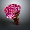 Beautiful Pink Rose Flower With Layered Petals And Brown Stem On Gray Background