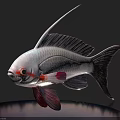White Aquatic Fish With Red Accents Long Filamentous Fins And Detailed Textured Scales