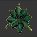 Mystical Fantasy Plant Creature With Spotted Green Leaves Curved Yellow Tentacles And Red Gold Center
