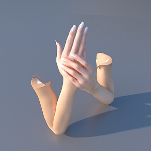 hand arm female hand 3d model