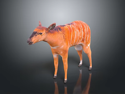 Realistic 3D Animal Model With Orange Fur White Stripes Standing On Reflective Surface 3d model