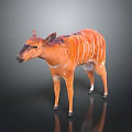 Realistic 3D Animal Model With Orange Fur White Stripes Standing On Reflective Surface
