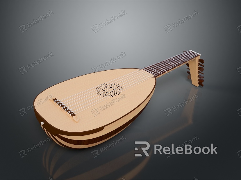 Pipa Instrument String Chinese Musical Instruments model