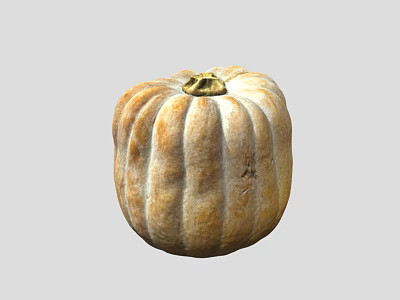 Fresh Organic Pumpkin with Smooth Textured Skin and Round Shape Ideal for Culinary Use 3d model