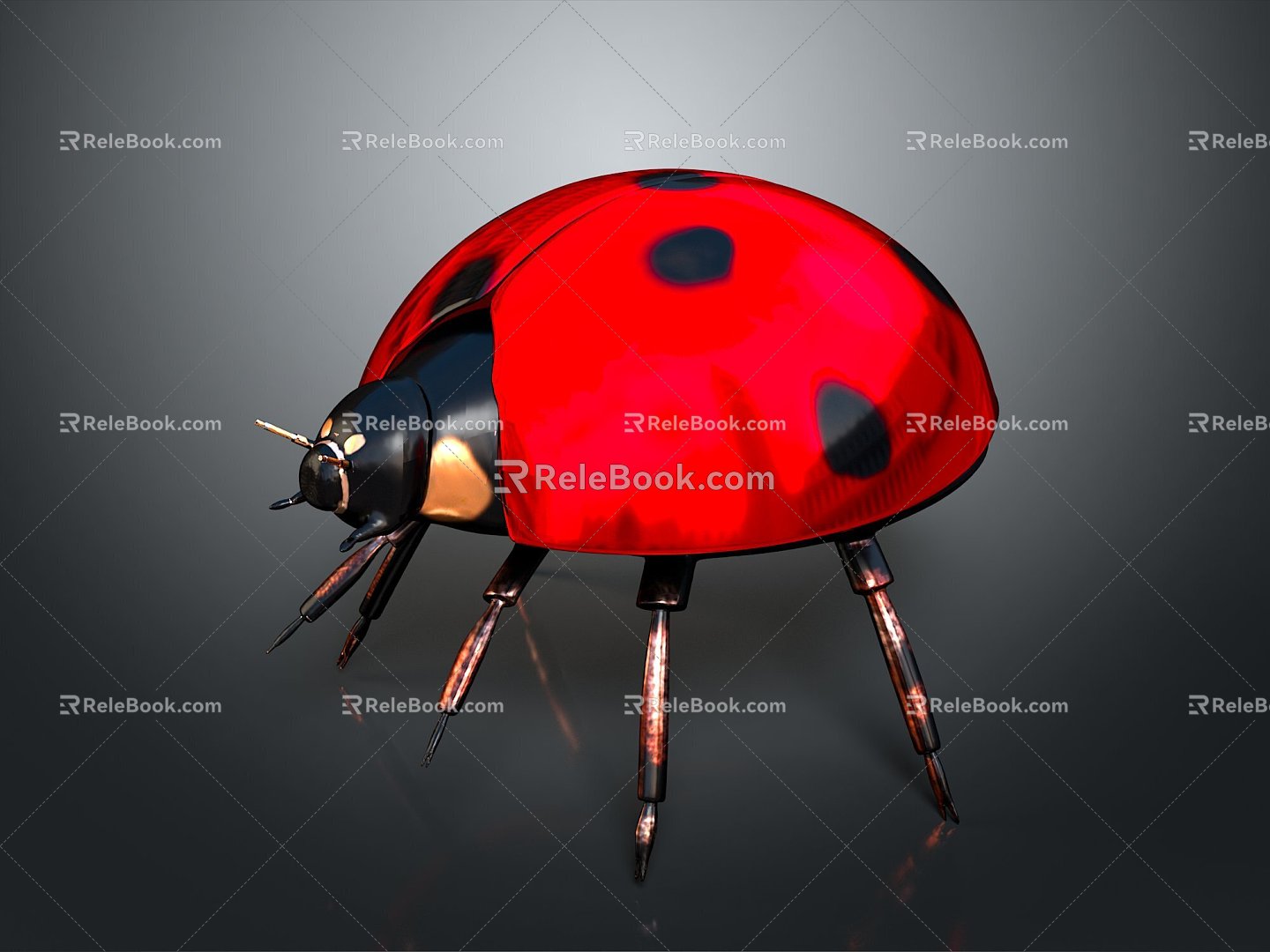 Modern Beetle Beetle Scarab Insect 3d model