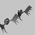 Two Mounted Moose Skull Decorations With Large Antlers On Green Wall