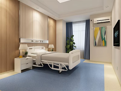 Modern Hospital Room Interior With Comfortable Bed Nightstand TV Air Conditioner And Potted Plant 3d model