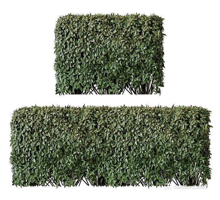 Well Trimmed Lush Green Bushes for Garden Landscape Decoration and Outdoor Design 3d model 