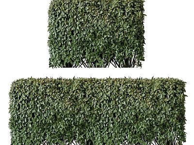 Well Trimmed Lush Green Bushes for Garden Landscape Decoration and Outdoor Design 3d model
