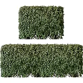Well Trimmed Lush Green Bushes for Garden Landscape Decoration and Outdoor Design