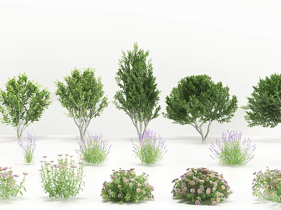 Various Types Of Green Shrubs With Lush Foliage And Flowering Plants For Garden Landscaping 3d model