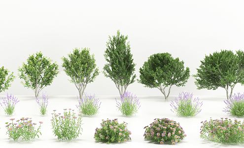 Modern Shrub Lavender Flowers and Grasses 3d model