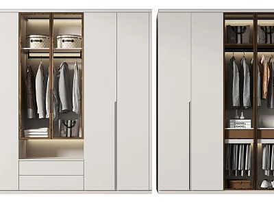 Modern Wardrobe Interior Design With White Doors Wooden Frame Hanging Clothes Drawers And Lighting 3d model