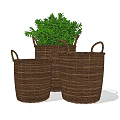 Set Of Three Natural Wicker Storage Baskets With Green Plants For Home