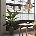 Modern Restaurant Interior With Large Windows Wicker Pendant Lights Wooden Table Chairs Green Plant Shelves