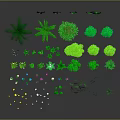 Various Green Plants Collection with Different Types Including Shrubs Grass Ferns and Purple Flowers