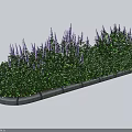 Roadside Facilities With Green Plants Purple Flowers And Concrete Curb