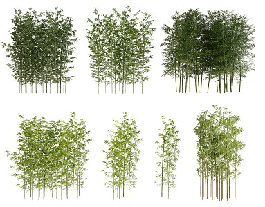 Bamboo combination 3d model