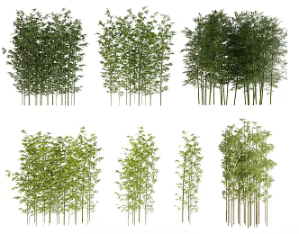 Bamboo combination 3d model