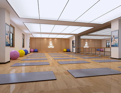 Modern Yoga Room 3d model