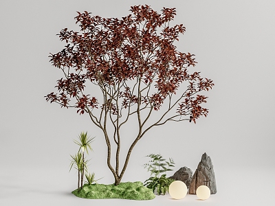 arbor landscape tree model