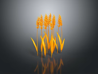 Golden Wheat Ears As Fresh Food Ingredient On Dark Background With Reflection 3d model