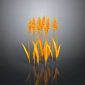 Golden Wheat Ears As Fresh Food Ingredient On Dark Background With Reflection