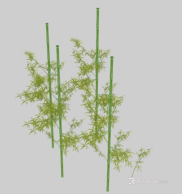 Lush Green Bamboo Stalks With Fresh Leaves In Natural Garden Setting 3d model 