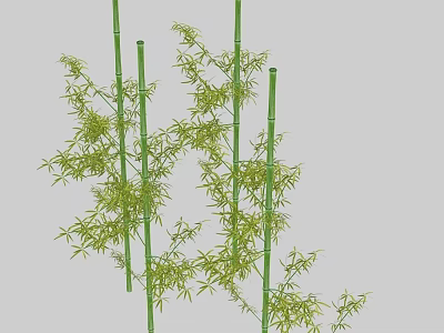 Lush Green Bamboo Stalks With Fresh Leaves In Natural Garden Setting 3d model