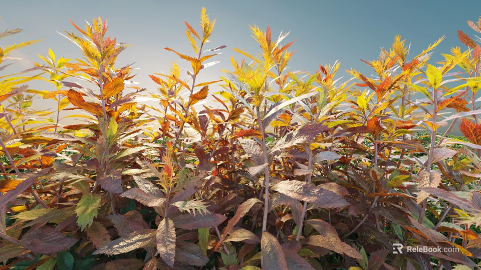 Vibrant Shrubs With Yellow Orange Red Leaves In Sunlit Outdoor Garden 3d model 