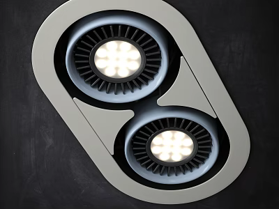 Modern Recessed Downlights and Spotlights with Double LED Bulbs and Metal Frame 3d model