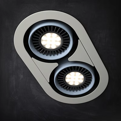 Modern Recessed Downlights and Spotlights with Double LED Bulbs and Metal Frame 3d model