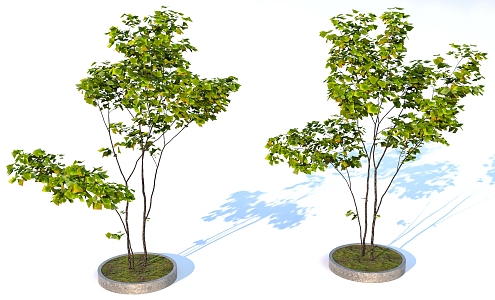 landscape tree pool green plant trees 3d model