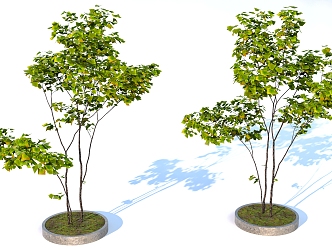 landscape tree pool green plant trees 3d model