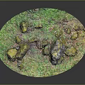 Natural Wood and Stone Materials with Green Vegetation and Mossy Rock Surfaces