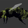 Detailed Green Fuzzy Bee With Black Body Transparent Wings And Blue Eyes
