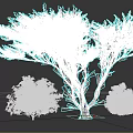 Tall Arbor With Spreading Branches Pink Flowering Bushes And Green Shrubs