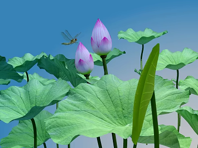 Pink Lotus Buds With Green Leaves And Dragonfly In Blue Sky Background 3d model