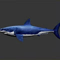 Blue Shark Realistic Model on Dark Background with Detailed Fins and Tail