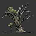 Old Tree Stump With Green Moss And Dry Branches On Grass Base 3d model