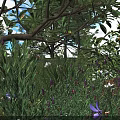 Lush Garden Bushes with Purple Flowers and Green Leaves Under Sunlight