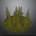 Pine Forest Scene With Circular Grassy Area And Small Flowers