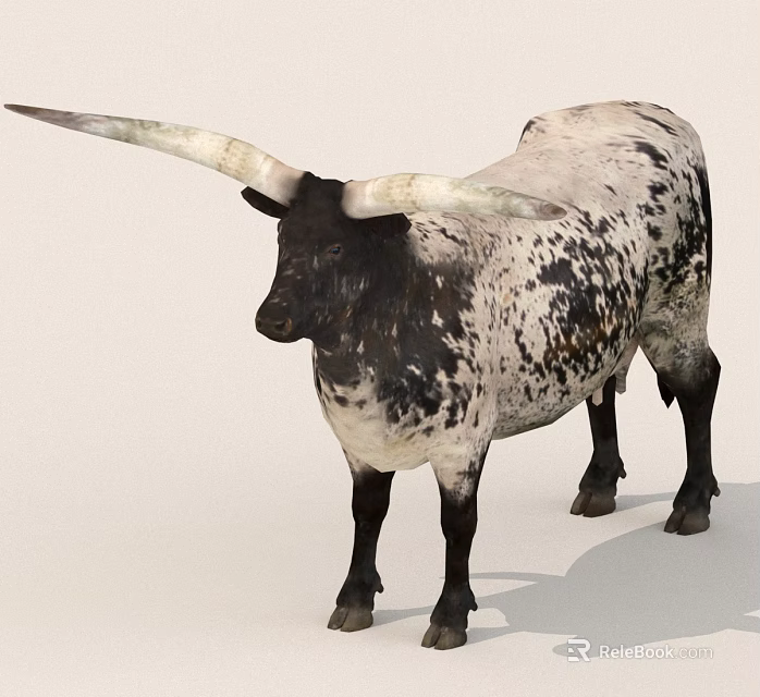 Longhorn Cow With Black And White Spotted Coat And Long Curved Horns 3d model 
