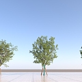 Residential Bracket Tree 3d model