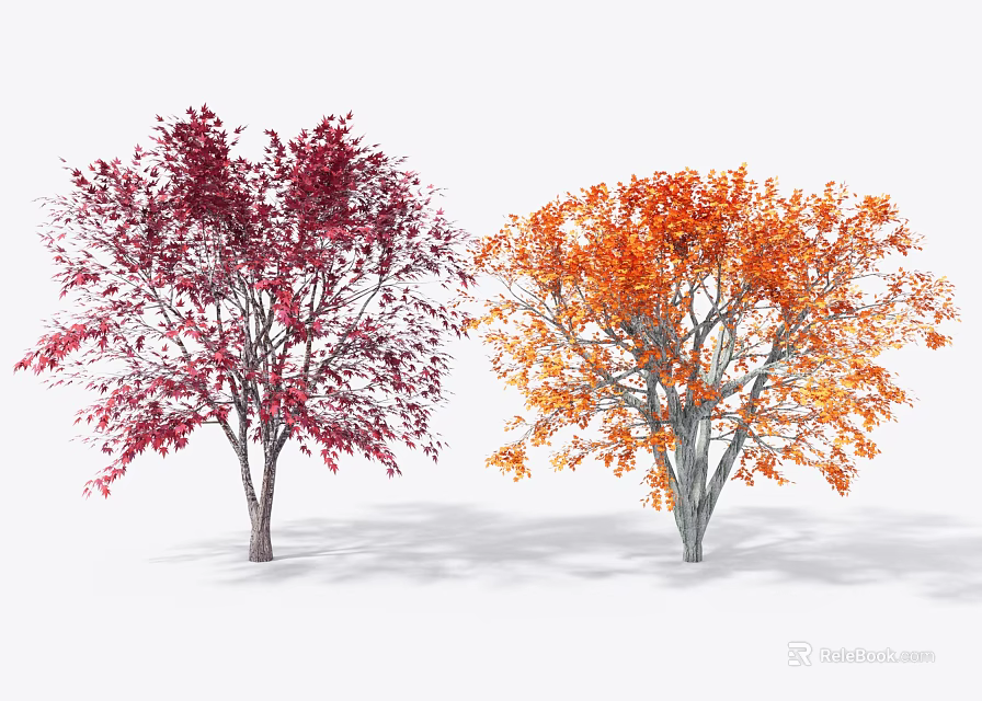 Vibrant Red and Orange Leaf Trees with Autumn Foliage in White Background 3d model 