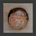 Wooden Stump Decorative Piece With Smooth Stone Base And Natural Grain Texture